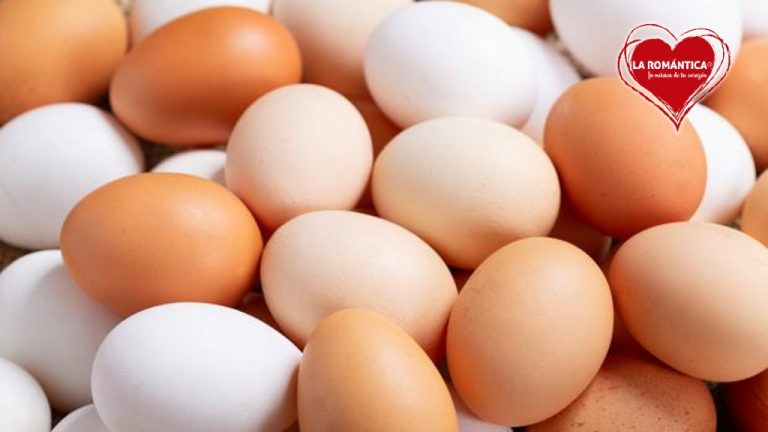 Día Mundial del Huevo