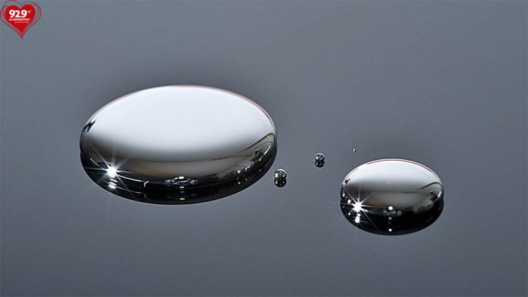 Día del Compromiso Internacional del Compromiso del Mercurio