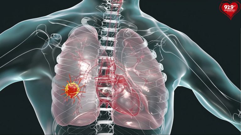 Datos curiosos sobre los pulmones