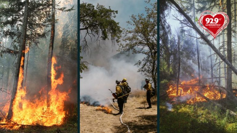 Incendios, un planeta más seco y caliente