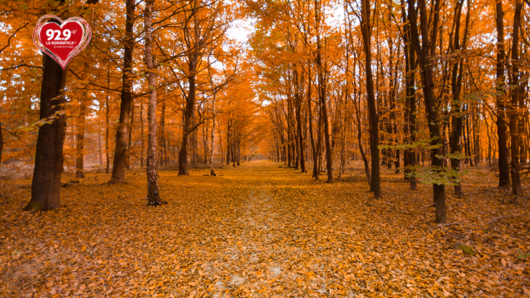 Algunos rituales para celebrar el Equinoccio de Otoño