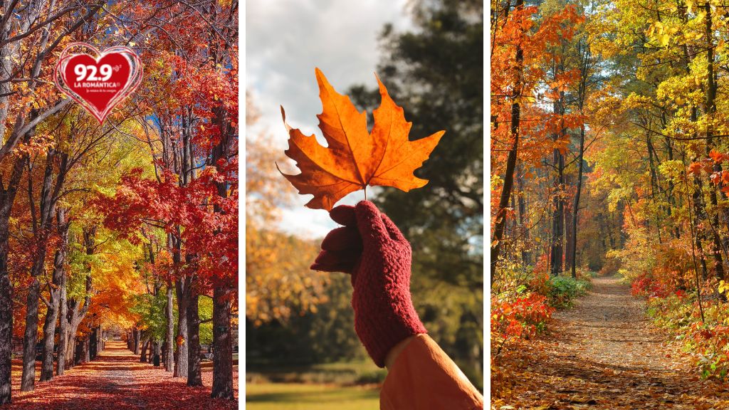 Datos curiosos del otoño - La Romantica