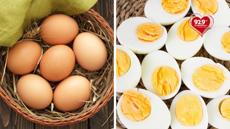 5 Datos curiosos del huevo