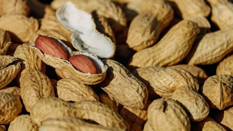 ¿Los cacahuates son buenos para la salud?