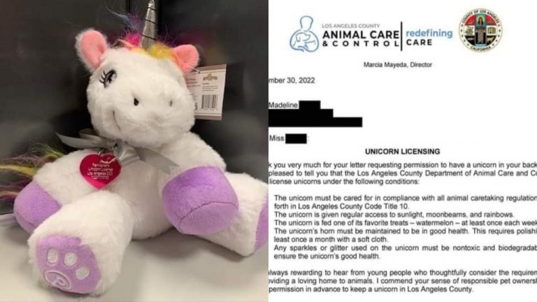 Gobierno otorga licencia a niña para tener un unicornio