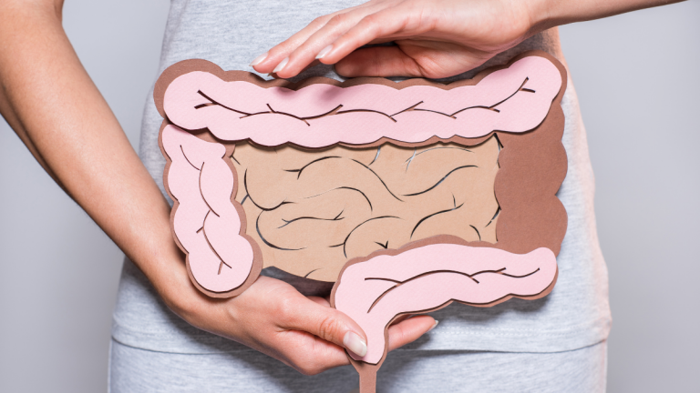 Alimentos con probióticos que mejoran tu salud intestinal